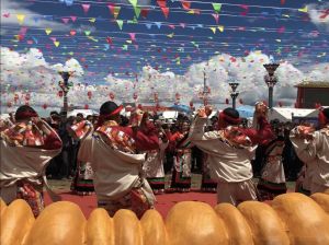 那曲魅力蟲草節