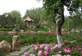 華府新桃園 華府新桃園