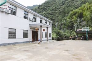 芝肚坑村 芝肚坑村