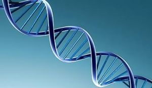 基因簽名 基因簽名