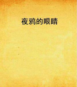 夜鴉的眼睛 夜鴉的眼睛