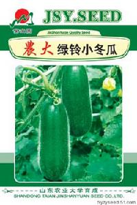 綠鈴小冬瓜 綠鈴小冬瓜