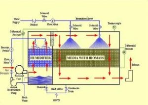 大氣—生物系統 大氣—生物系統