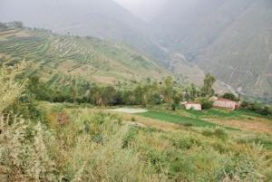 梨坪自然村 梨坪自然村