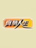 真情人生 真情人生