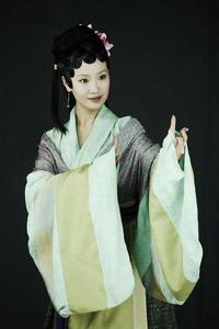 <<紅樓夢>>[2010年李少紅執導的古裝情感劇]