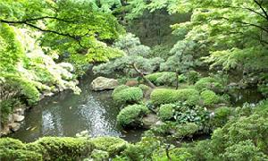 殿谷戶庭園——武藏野的植被