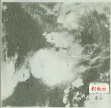 衛星雲圖上的濃積雲