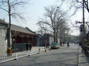 前海西街 前海西街