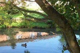 白金漢大學 白金漢大學