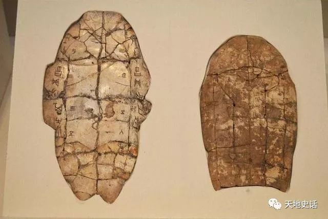 帶有符號的“龍骨”