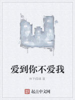 愛到你不愛我 愛到你不愛我