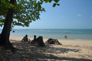 奈陽海灘 奈陽海灘