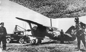 雙翼伊-153 參加了蘇軍與日本關東軍在哈拉欣河的戰鬥