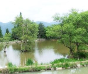草魚塘省級森林公園 草魚塘省級森林公園