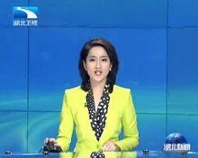 湖北新聞主播陳靜