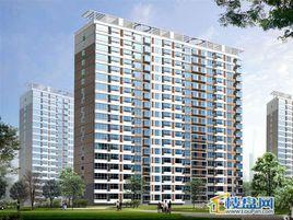 芝蘭明仕 芝蘭明仕