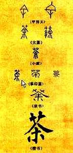茶字流變 茶字流變