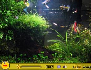 線上玩水上花園尋寶小遊戲