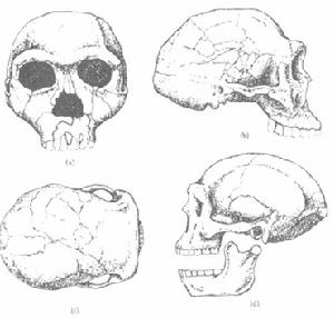 和縣猿人遺址 和縣猿人遺址