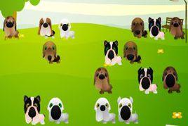 尋找丟失的小狗 尋找丟失的小狗