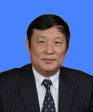 陳德林[寶鋼集團總法律顧問]