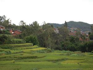 河節沖村 河節沖村