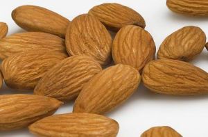 含化杏仁丸 含化杏仁丸