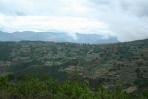 羅家組自然村 羅家組自然村