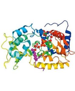 尿刊酸酶 尿刊酸酶