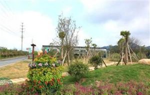 三聯農莊—台灣村 三聯農莊—台灣村