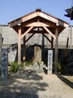 德川信康 德川信康