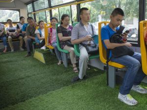 草坪公交 草坪公交