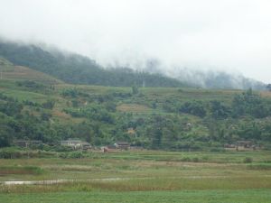 上黃草林自然村 上黃草林自然村