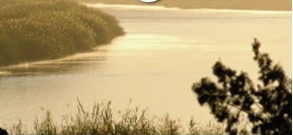 （圖）克萊倫斯