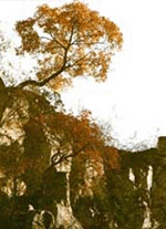 五蓮九仙山 五蓮九仙山