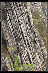 早石炭世含煤地層 早石炭世含煤地層