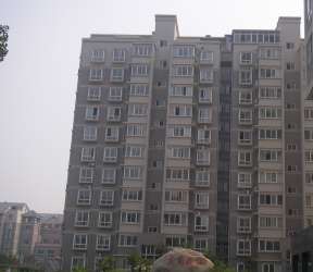 愛菊花園 愛菊花園