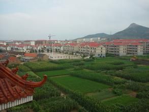 蚧口社區 蚧口社區