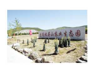 三房身村 三房身村