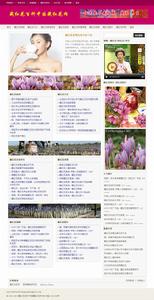 中國藏紅花網 中國藏紅花網