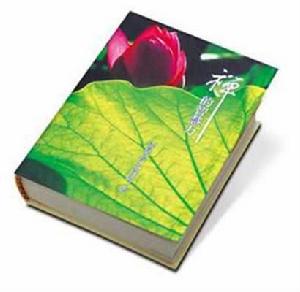 悟覺妙天禪師:禪的智慧力 悟覺妙天禪師:禪的智慧力