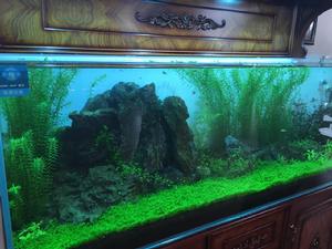 迪茨[浙江台州家居品牌]