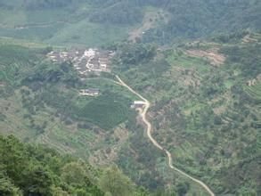 魚多壩村 魚多壩村