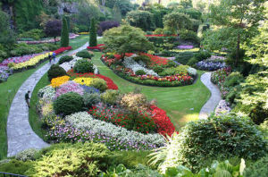 加拿大皇家植物園