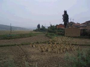 小六十畝村 小六十畝村