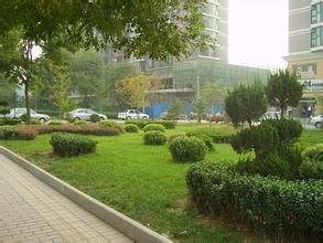 廣東省裝飾職業培訓學校 廣東省裝飾職業培訓學校