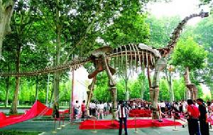 南陽恐龍蛋化石群自然保護區