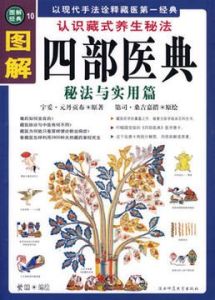 四部醫典 四部醫典
