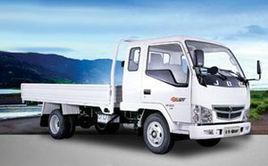 金杯領騏 金杯領騏